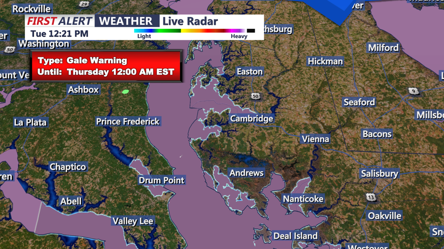 GALE WIND - CAMBRIDGE