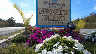 Fenwick Island looks to start median beautification project