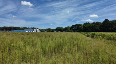 Lighthouse Road Development Site