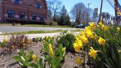 Savannah Road Master Plan Underway