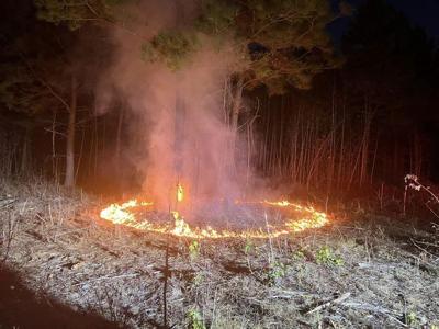 Georgetown brush fire
