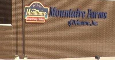 mountaire