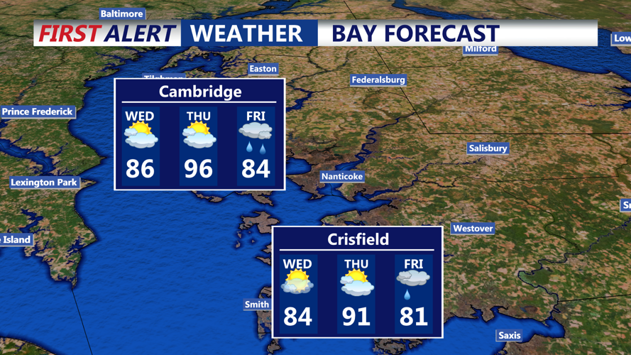 BAY FORECAST