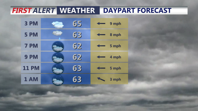 Image shows the hourly forecast into the evening. 