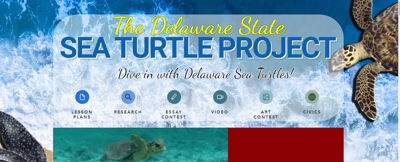Delaware State Sea Turtle Project