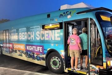 dart beach bus