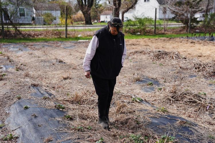 Climate Farm Bill Indigenous