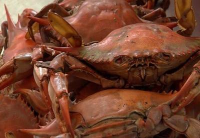 From the Beach to the Bay: See WRDE at the Tawes Crab and Clam Bake in Crisfield