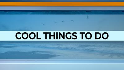 Cool Things to Do This Weekend