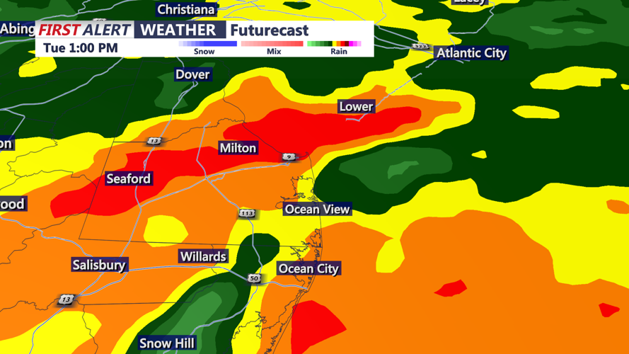 FUTURECAST RAINFALL