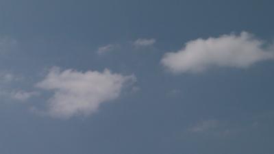 Staying Safe During A Code Orange Air Quality Warning