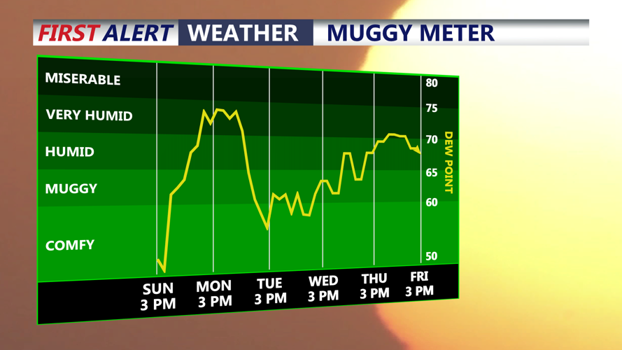 muggy meter