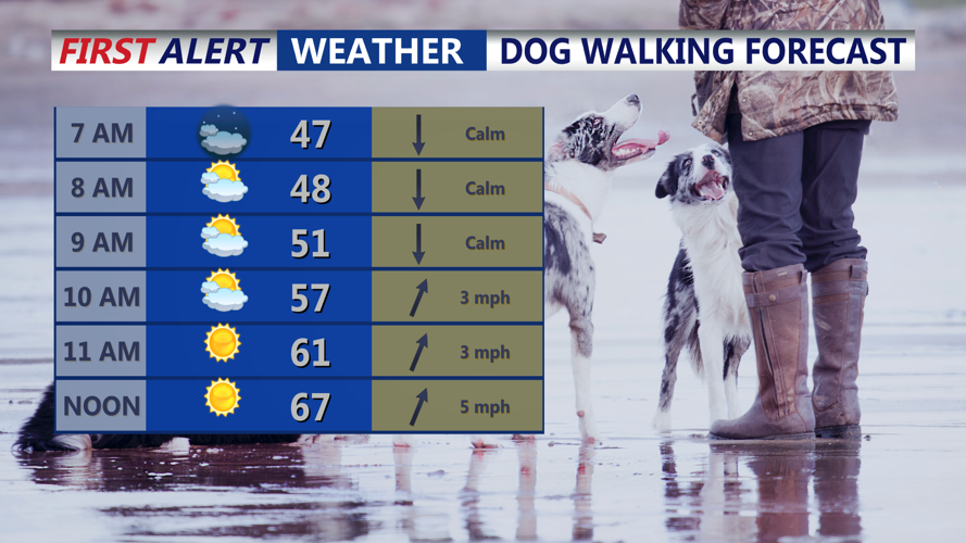 DOG WALKING FORECAST