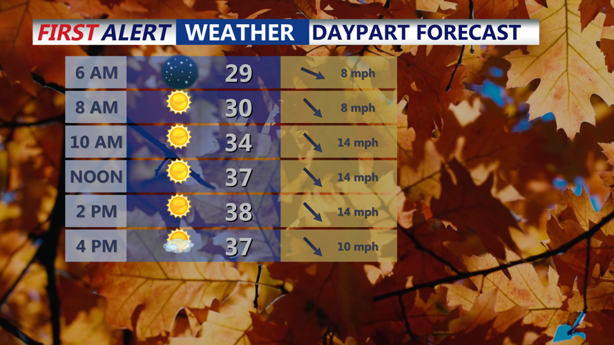 DAYPART FORECAST