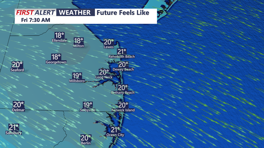 FUTURE FEELS LIKE SUSSEX FRIDAY