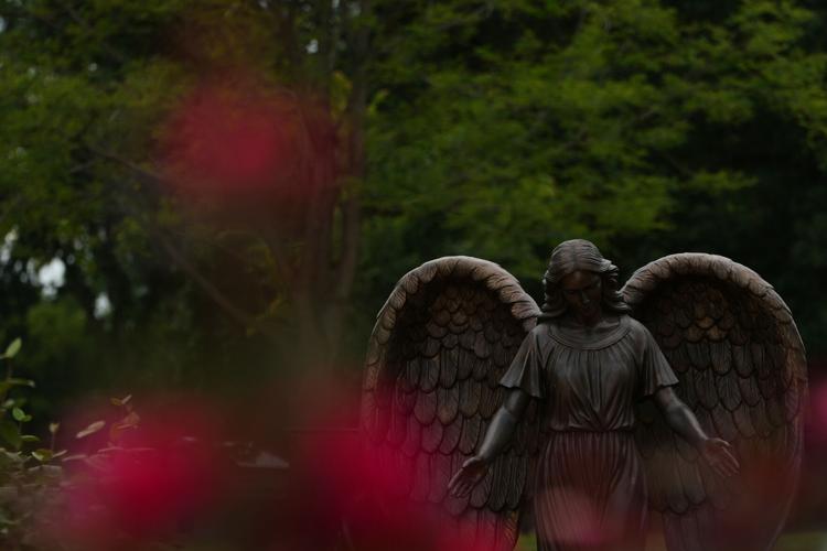 End of Life Options