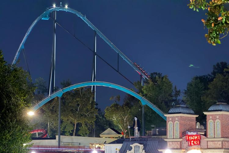 Roller Coaster Death