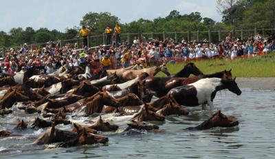 pony swim