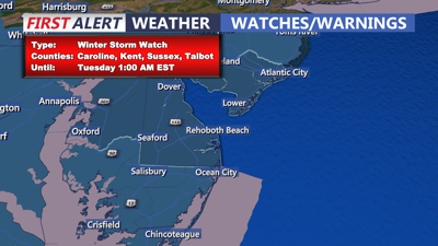 Winter Storm Watch