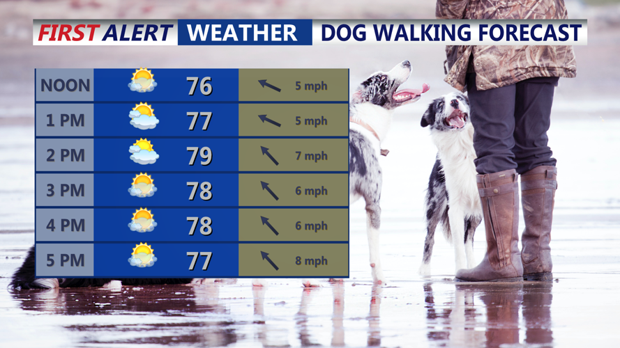 DOG WALKING FORECAST
