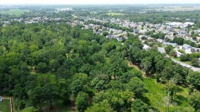 The 30 acres off Fourth Street Preserve aerial view.