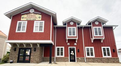 Rehoboth Beach Animal Hospital