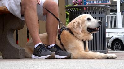 Camper relaxing near the benches at the bandstand in Bethany Beach.