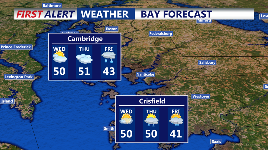 BAY FORECAST