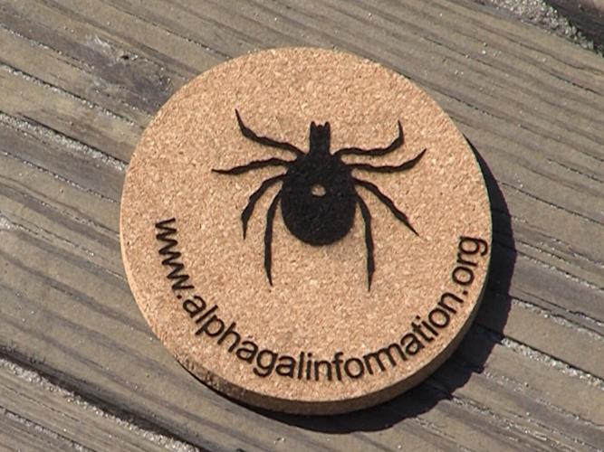 Tick 3
