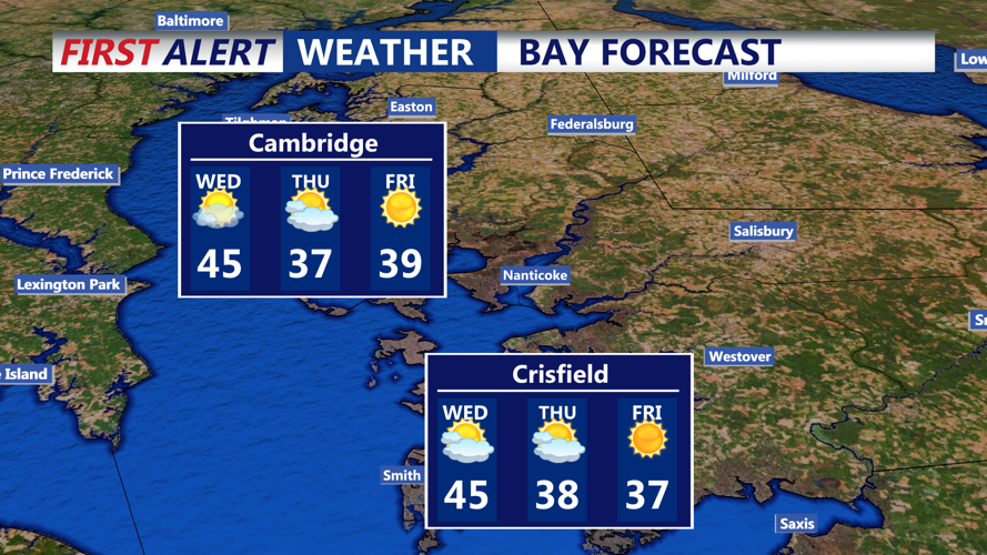 BAY FORECAST