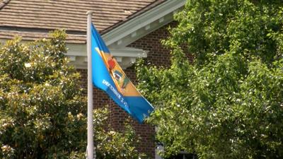 Delaware flag (copy)