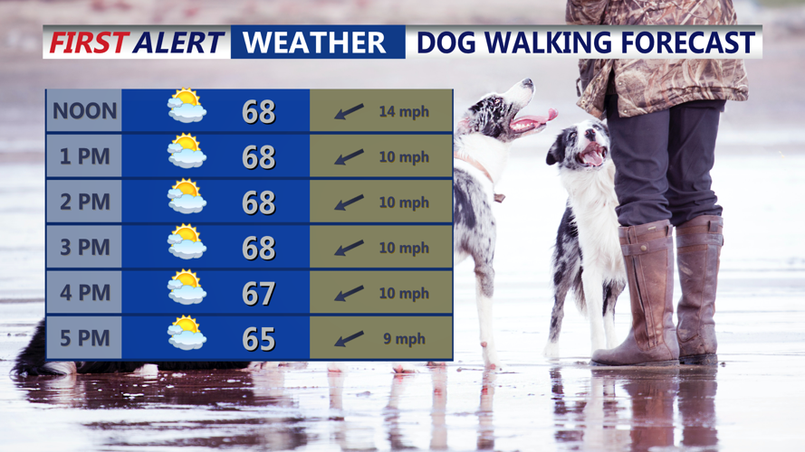 DOG WALKING FORECAST