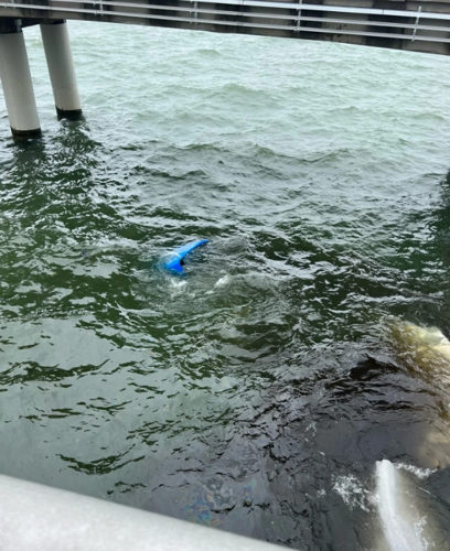 Truck underwater off of Chesapeake Bay Bridge-Tunnel