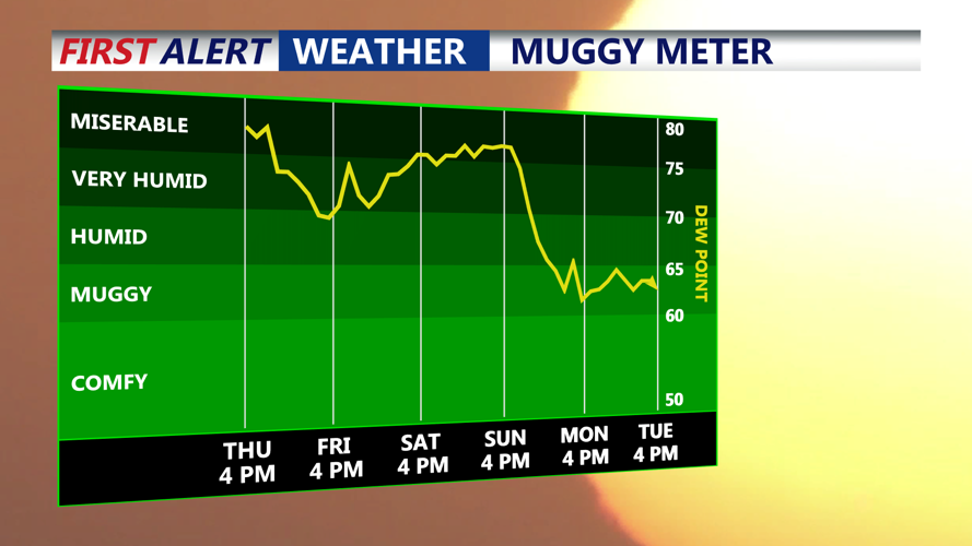 Muggy Meter