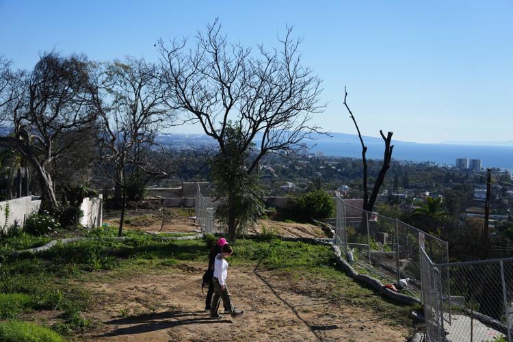 LA Fires Insurance Payouts