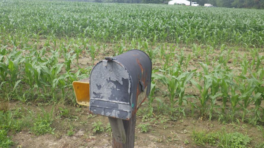 Fireworks in Hurlock mailbox