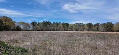 Marlin Cove proposed land