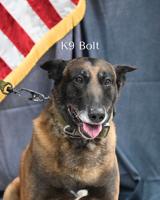 Salisbury police K9 Bolt retires after six years of service