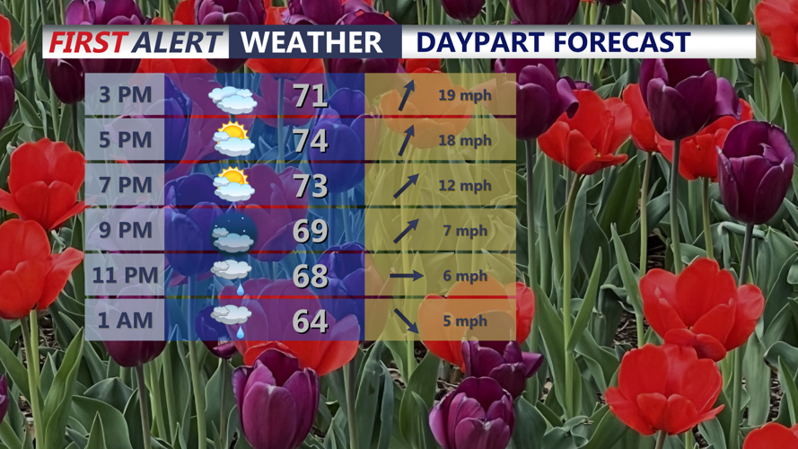 Daypart Forecast
