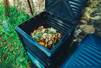 Compost bin