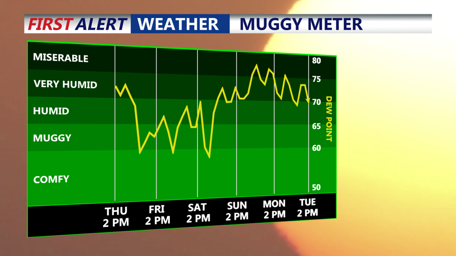 Muggy Meter
