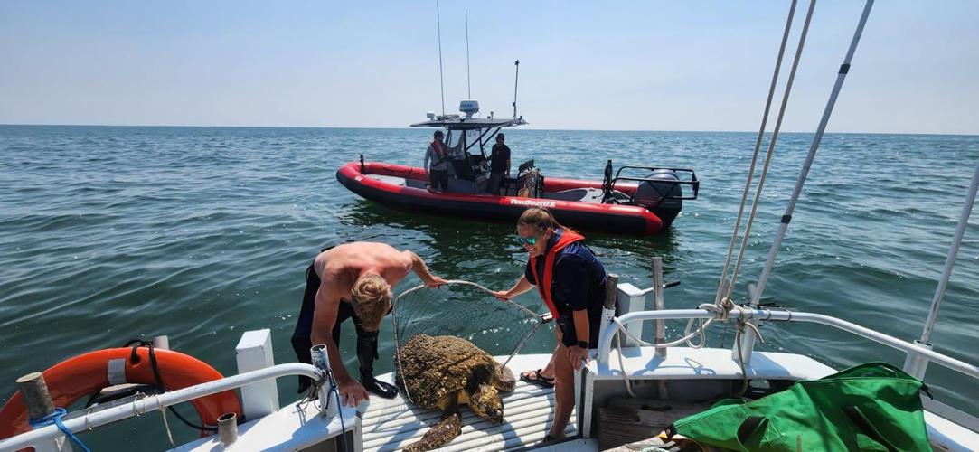 Rescue in progress