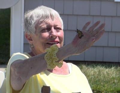 One Hundred Monarch Butterflies Take Flight in Lewes
