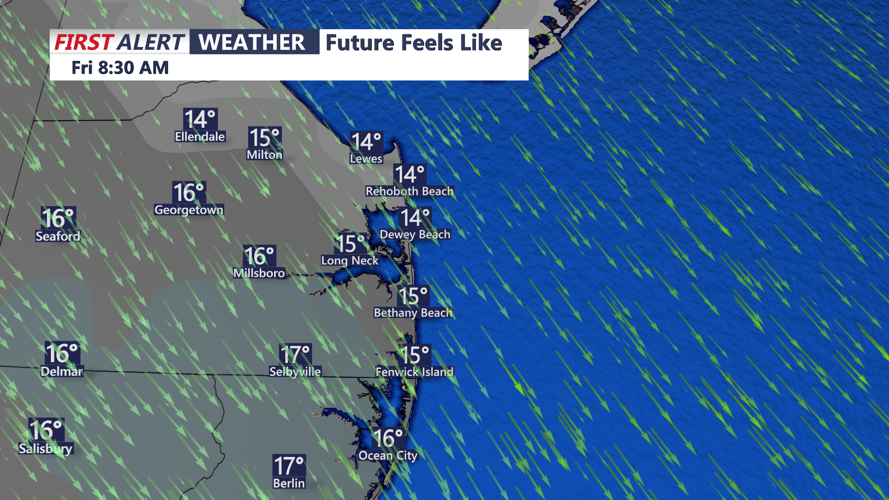 FUTURECAST FEELS LIKE - SUSSEX