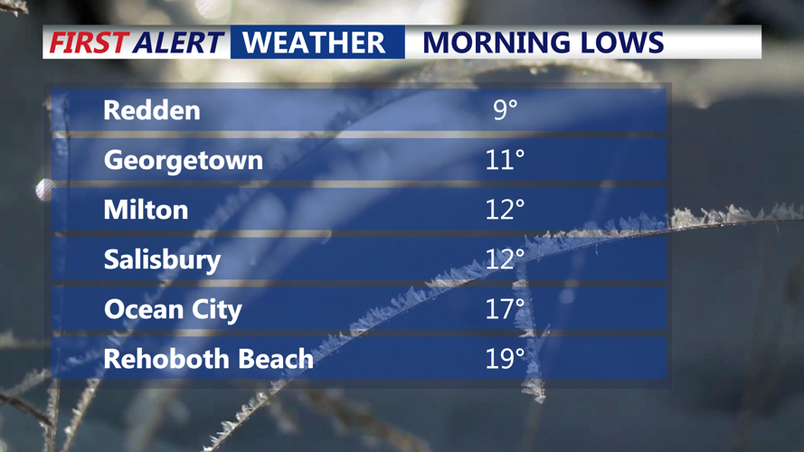 MORNING LOWS