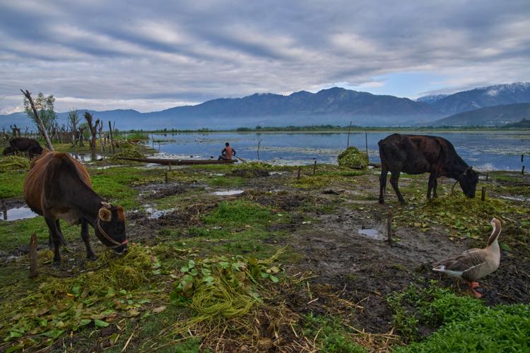 Climate Kashmir Lakes