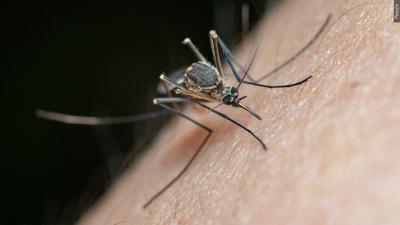 West Nile Virus