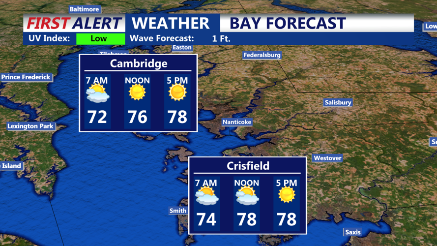 Bay Forecast Hourly