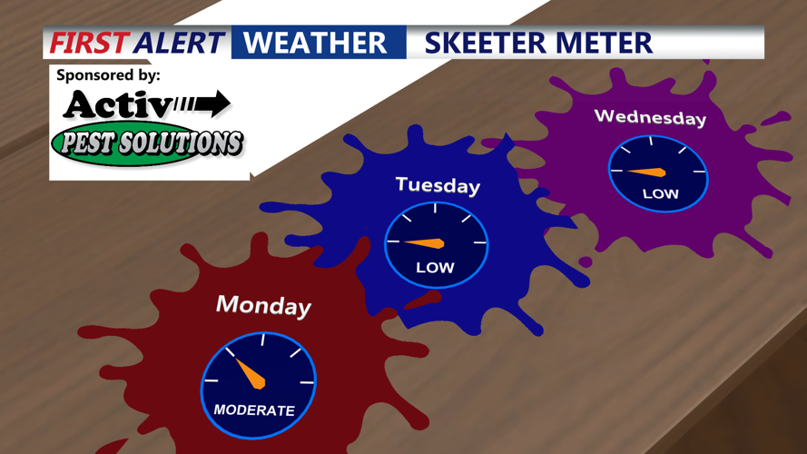 SKEETER METER