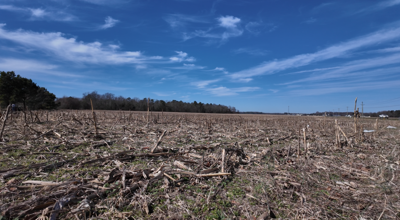 The plans would add 214 single family homes along route 20.